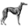 Greyhound, the 2nd fastest land animal
